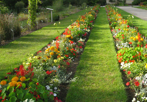 Elagueur-jardinier à Livry-Gargan