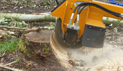 Entreprise d’élagage 93 assure les travaux de dessouchage d’arbre