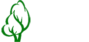 Zepp Elagage