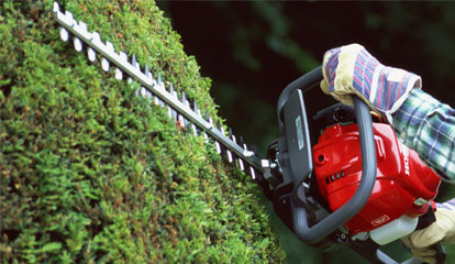 Des prestations diversifiées pour vos espaces verts